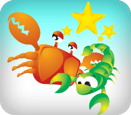 ���ڻ���� ����Ǯ��